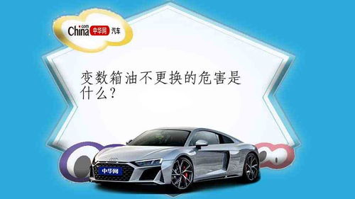 汽车镀膜保险赔偿多少