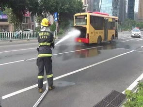 汽车每天发生多少事故